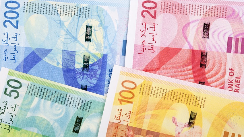 new-shekels-inside-min